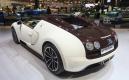 image Bugatti-Dubai-2013-03.jpg