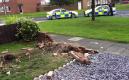 image BMW-X5-Ashington-004.jpg