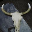 image Max-gekke-items-Marktplaats-22.JPG