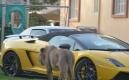 image Humaid-de-dierenman-03.jpg