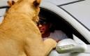 image Humaid-de-dierenman-06.jpg