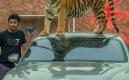 image Humaid-de-dierenman-15.jpg