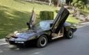 image KITT-replica-veiling-02.jpg