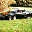 image Panther-P6-04.jpg