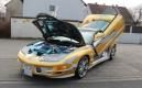 image Pontiac-Trans-Am-Bling-Edition-003.jpg