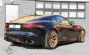 image f-type-vip-00003.jpg