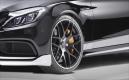 image C63_AMG_Rottweiler-07.jpg