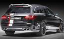 image C63_AMG_Rottweiler-09.jpg