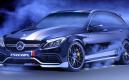 image C63_AMG_Rottweiler-11.jpg