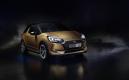 image 01-DS3-BRM.jpg
