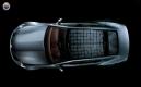 image Fisker_Karma_Chicks_10.jpg