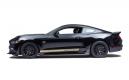 image shelby-gt-h-00003.JPG