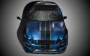 image ford-shelby-gt350r-mustang-003.jpg