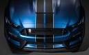 image ford-shelby-gt350r-mustang-004.jpg