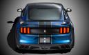 image ford-shelby-gt350r-mustang-005.jpg