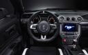image ford-shelby-gt350r-mustang-008.jpg