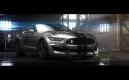 image ford-shelby-gt350-2015-002.jpg