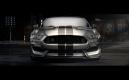 image ford-shelby-gt350-2015-006.jpg