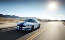 image ford-shelby-gt350-2015-007.jpg