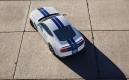 image ford-shelby-gt350-2015-010.jpg