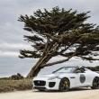 image jaguar-f-type-project-7-wit-006.jpg