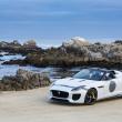 image jaguar-f-type-project-7-wit-010.jpg