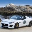 image jaguar-f-type-project-7-wit-011.jpg