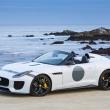 image jaguar-f-type-project-7-wit-012.jpg