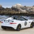 image jaguar-f-type-project-7-wit-016.jpg