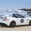 image jaguar-f-type-project-7-wit-017.jpg