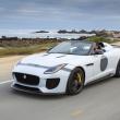 image jaguar-f-type-project-7-wit-020.jpg