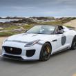 image jaguar-f-type-project-7-wit-021.jpg