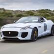 image jaguar-f-type-project-7-wit-023.jpg