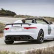 image jaguar-f-type-project-7-wit-030.jpg