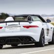 image jaguar-f-type-project-7-wit-031.jpg