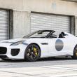 image jaguar-f-type-project-7-wit-049.jpg