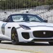 image jaguar-f-type-project-7-wit-054.jpg