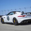 image jaguar-f-type-project-7-wit-057.jpg