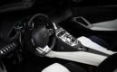 image lamborghini-aventador-roadster-art-car-duaiv-009.jpg