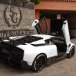 image murcielago-olsson-00001.jpg