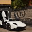image murcielago-olsson-00002.jpg