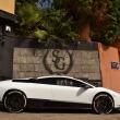image murcielago-olsson-00003.jpg