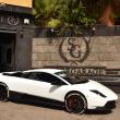 image murcielago-olsson-00004.jpg