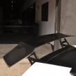 image murcielago-olsson-00006.jpg