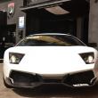 image murcielago-olsson-00007.jpg