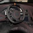 image murcielago-olsson-00008.jpg