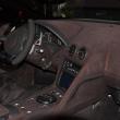 image murcielago-olsson-00009.jpg