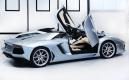 image Lamborghini-Aventador-LP700-4-Roadster-29.jpg
