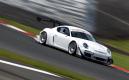 image cayman-gt3-00003.jpg