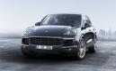 image cayenne-platinum-edition-00002.jpg